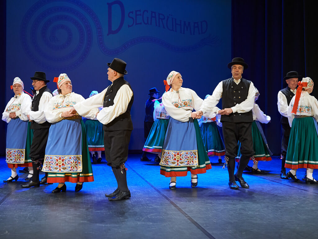 Rahvatantsuansambel Virulane - D-segarühm Virvet