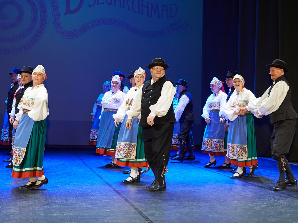 Rahvatantsuansambel Virulane - D-segarühm Virvet