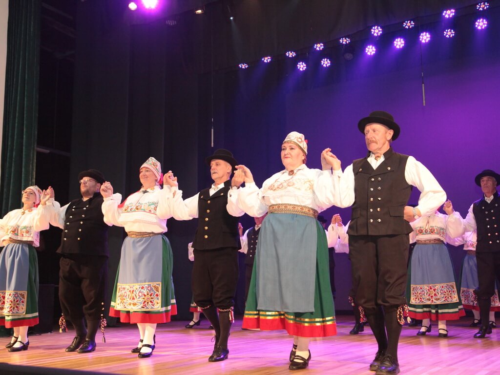 Rahvatantsuansambel Virulane - D-segarühm Virvet