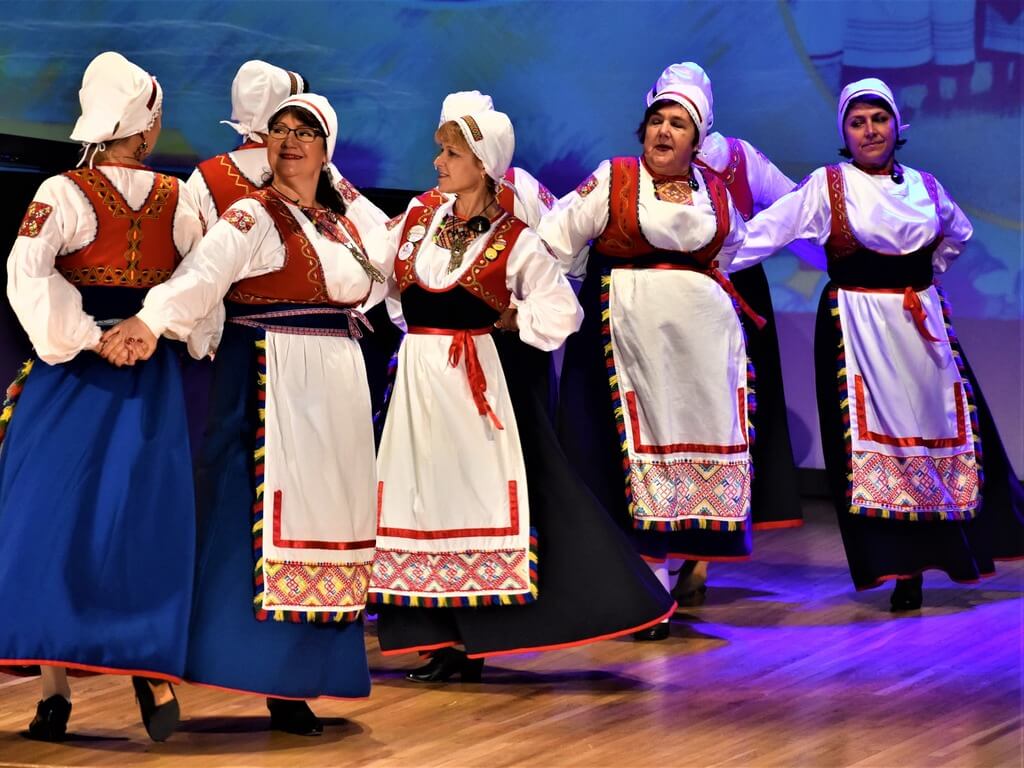 Ingerisoome kultuuripäevad
